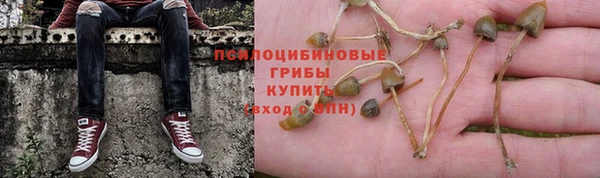 круглые Армянск