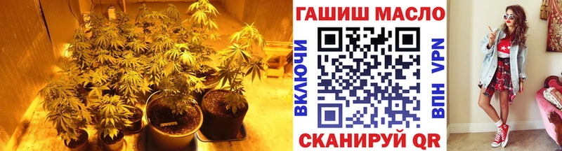 Купить  Павлово  ТГК THC oil 