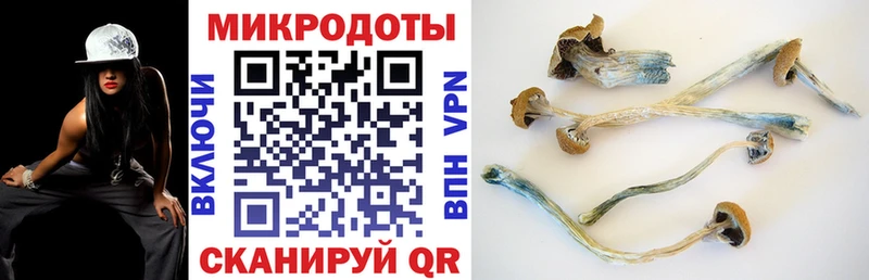 Купить закладки  Павлово  Галлюциногенные грибы GOLDEN TEACHER 